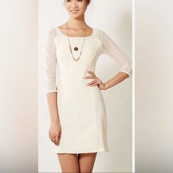 Anthropologie Bordeaux Floral Embroidered Mini Dress - Picture 1 of 15